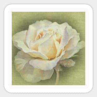 Vicorian Roses Neck Gator Single White Rose Sticker